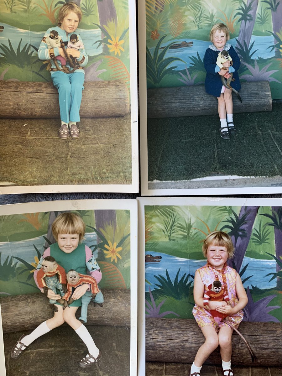 jaq421's tweet photo. I was not a child who liked dolls but this one was an absolute favourite  I also loved those monkeys at the seaside as you can see from my happy little face   But it’s a non pc doll and a wild animal in my push chair  . The times they were a changing 🎶 #stillsortingstuff. ! https://t.co/wc1a4jwnvO