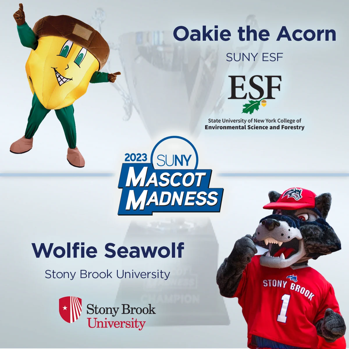 Oakie the Acorn from SUNY ESF vs Wolfie Seawolf from Stony Brook for the 2023 SUNY Mascot Madness championship.