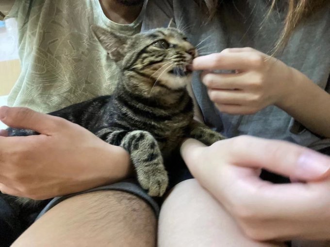 两年前的日常 一家猫咖，里面都是被救助的流浪猫，非常亲人，猫猫一直抱着人的手舔 https://t.co/lYcCgI37rz<a href="/tag/couple"class="tags"><span>#couple</span></a><a href="/tag/%E8%87%AA%E6%8B%8D"class="tags"><span>#自拍</span></a><a href="/tag/nsfw"class="tags"><span>#nsfw</span></a><a href="/tag/%E5%81%9A%E7%88%B1"class="tags"><span>#做爱</span></a><a href="/tag/%E6%83%85%E4%BE%A3"class="tags"><span>#情侣</span></a><a href="/tag/%E5%8F%AB%E5%BA%8A"class="tags"><span>#叫床</span></a><a href="/tag/%E5%95%AA%E5%95%AA%E5%95%AA"class="tags"><span>#啪啪啪</span></a>