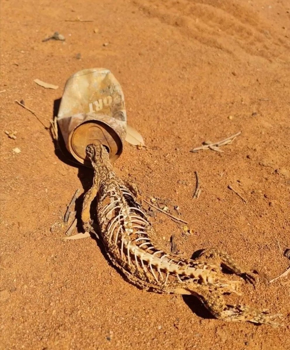 InformaCosmos's tweet image. &quot;No pasa nada, es solo una lata&quot;.