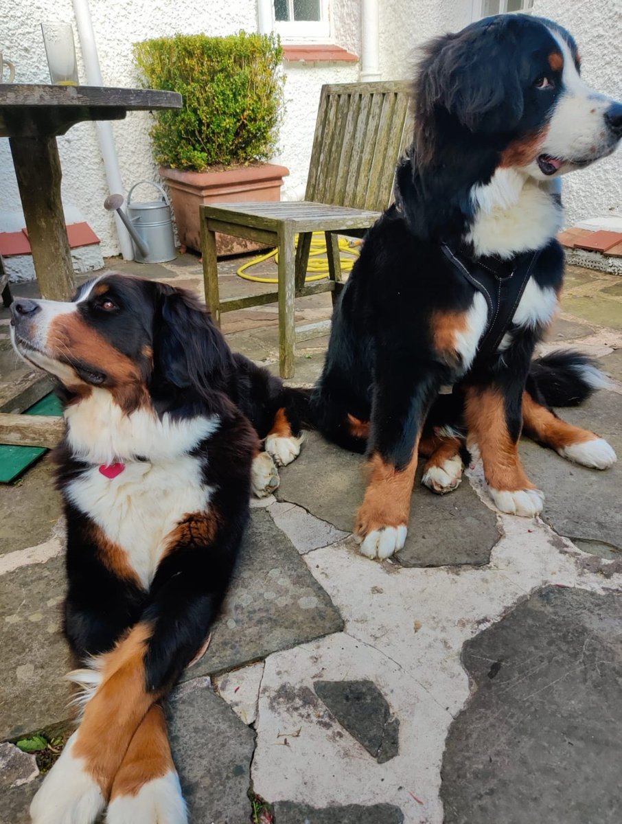 Brie's World 🌍🇬🇧🇨🇭 tweet media