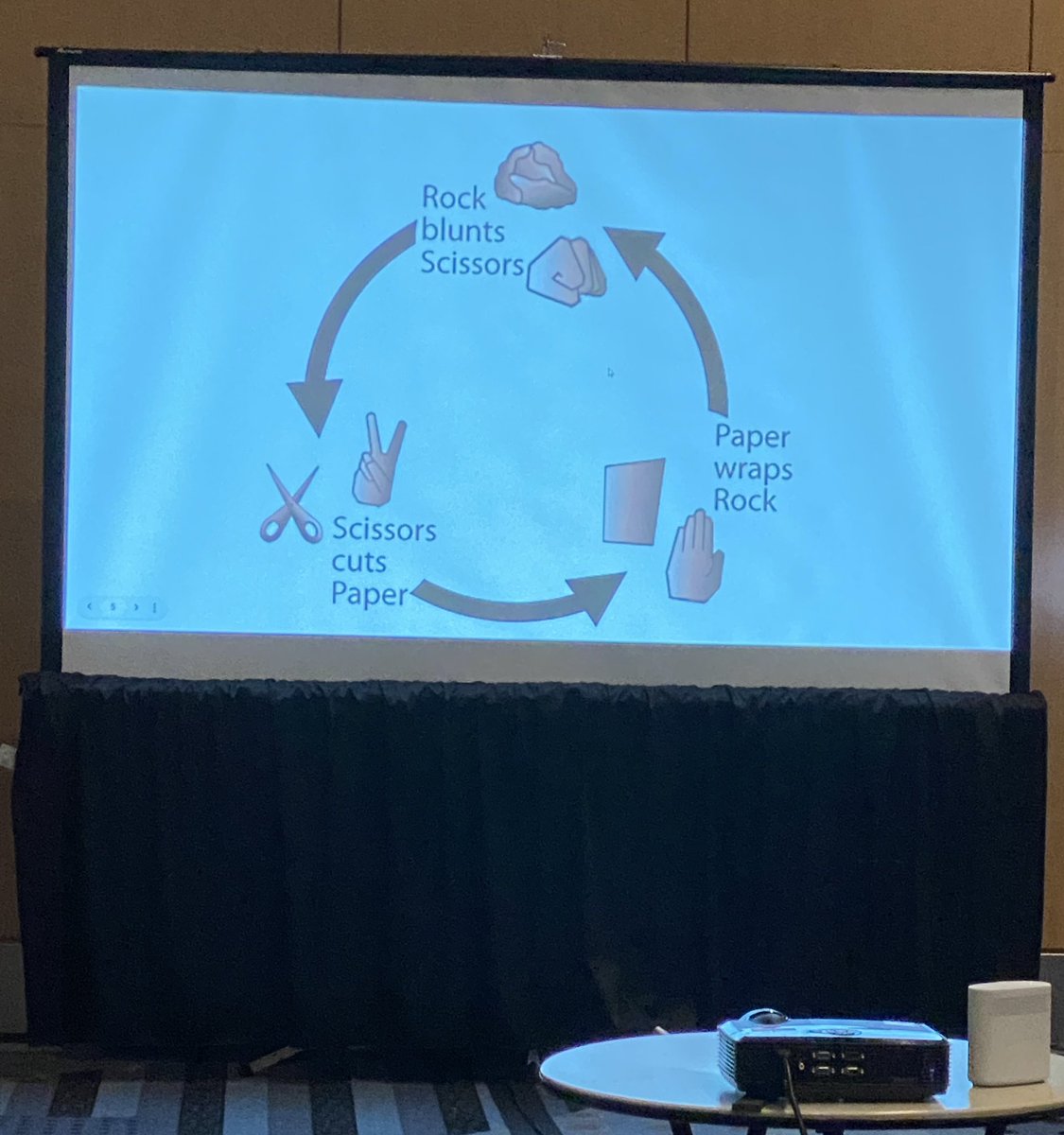 Haley Barkley tweet media