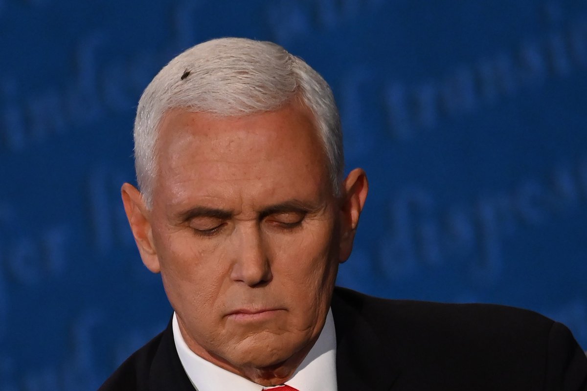 shylaura's tweet photo. Memes & flies 🪰 aside
I would like to see former Vice President Mike Pence as the Republican 2024 Presidential Candidate.
I believe he is a good person.
#trumparrestday #trump #TrumpArraignment #TrumpArrest
#Pense #pensefly #Election2024 #RepublicanPrimary #Trump2024 https://t.co/CvftO3dDEB