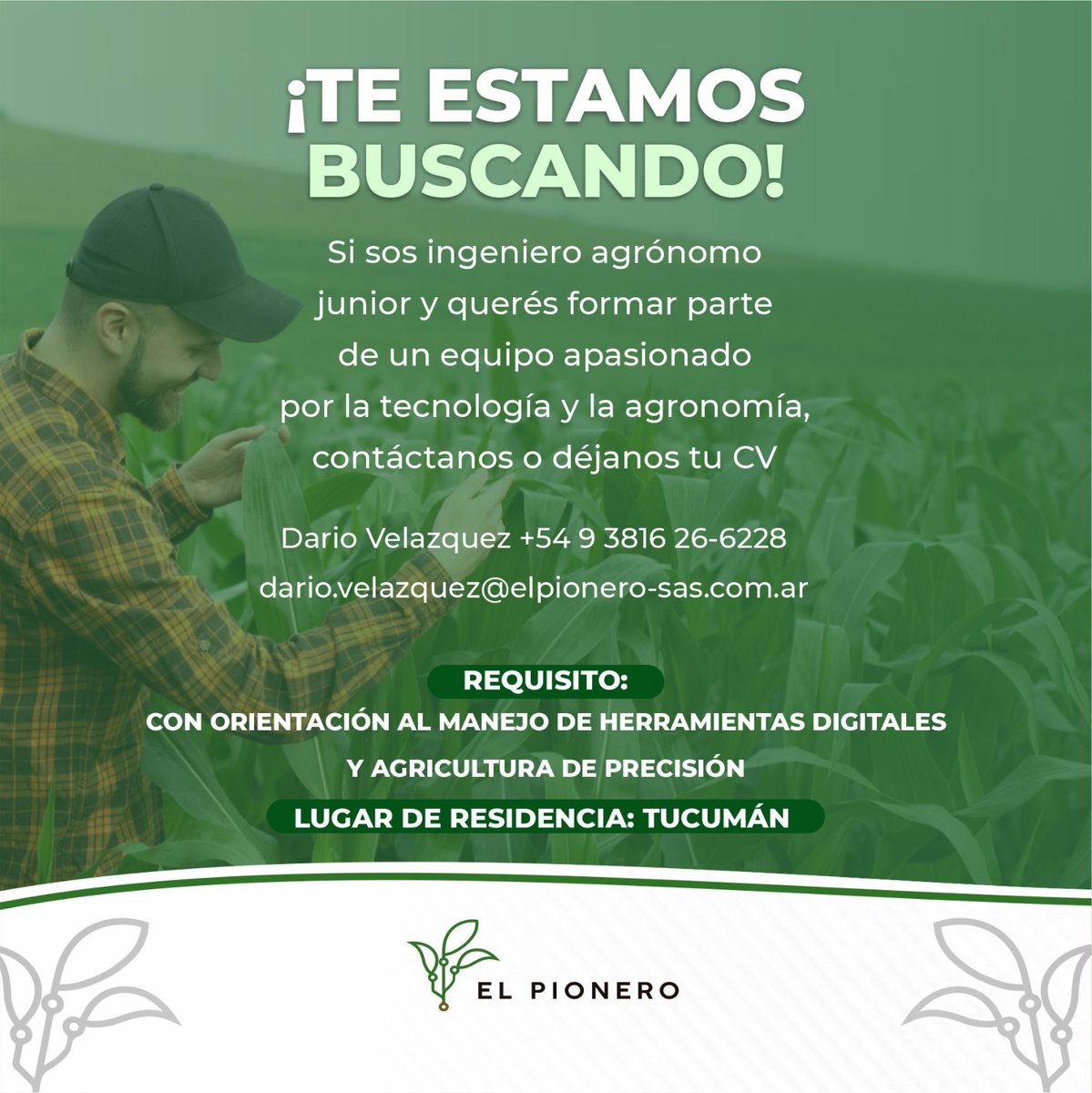 🔎 Te estamos buscando!!!
Si sos ingeniero agrónomo junior y querés formar parte de un equipo apasionado por la tecnología y la agronomía, contáctanos o déjanos tu CV:

Dario Velazquez +54 9 3816 26-6228
dario.velazquez@elpionero-sas.com.ar
Lugar de residencia: Tucumán.

#empleos
