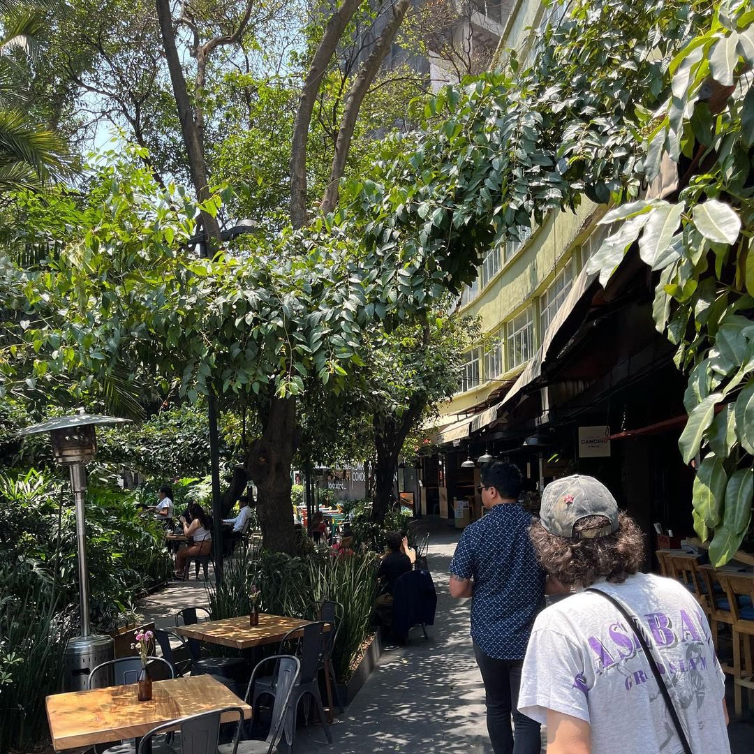 WallowsMex's tweet photo. “Sueño mexicano 💕😇🕯️”
@blakemorell444 vía Instagram 🤍
#wallows #wallowsmusic #wallowsmexico #wallowslatam #wallowslatinoamerica #wallowsband #wallowsedit #dylanminnette #braedenlemasters #colepreston #wallowssupremacy #wallowstour #tour #music https://t.co/ROdZ2NO49y