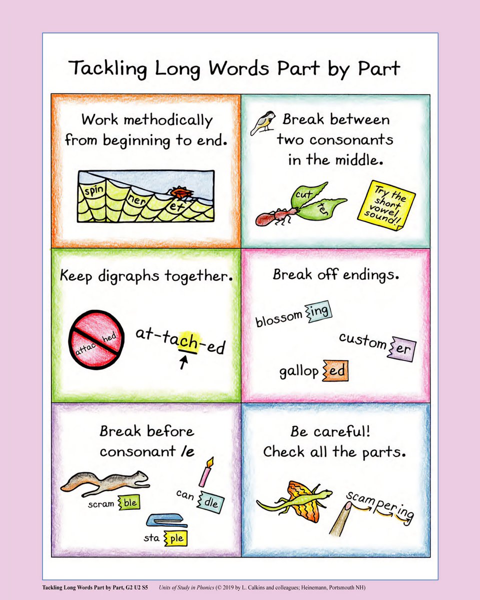 TC Advancing Literacy tweet media