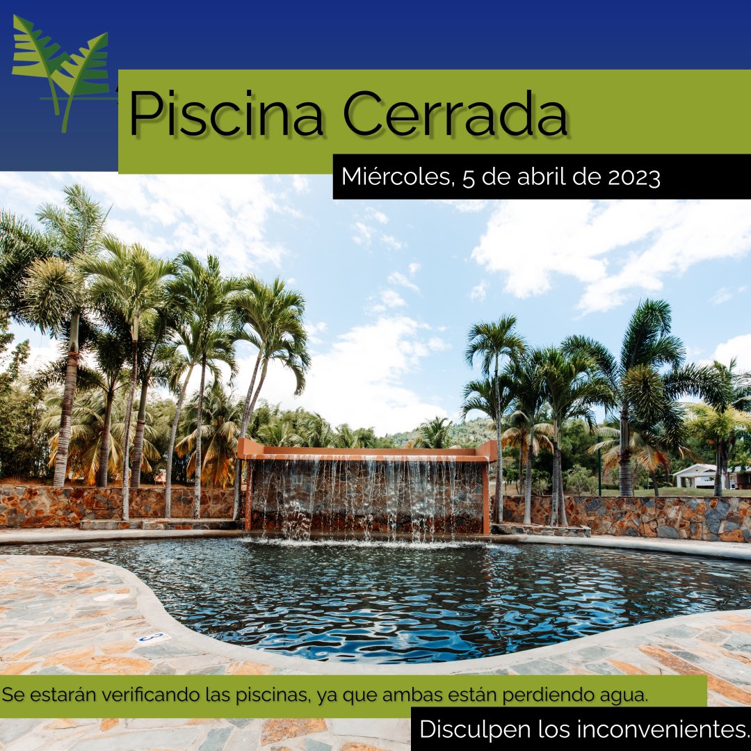 veredasdegurabo's tweet photo. https://t.co/eFQde6tqNK