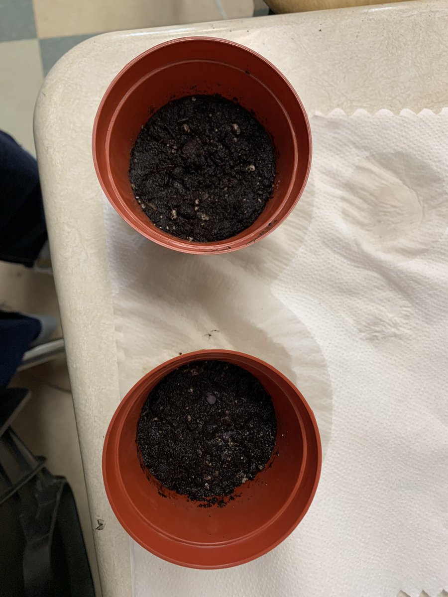 Started my lesson of Introduction to Procedural Writing for my grade 5 with explaining the meaning of procedural writing and the use of transition words. Due to ramadan instead of writing out a recipe, we learnt how to plant a flower. It was a great day!