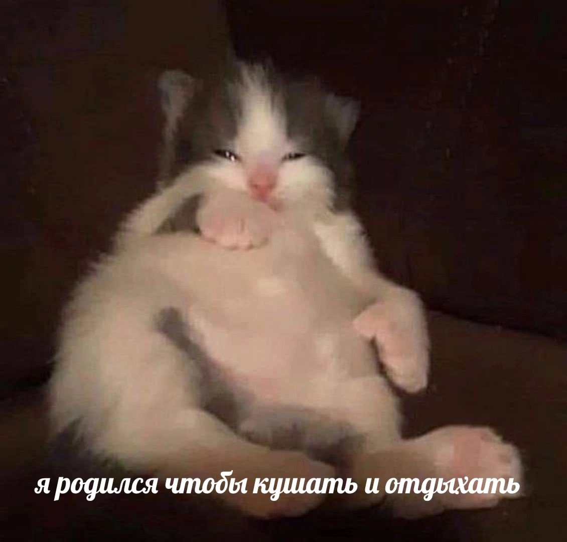ужасные мемы (@liltonder) on Twitter photo 