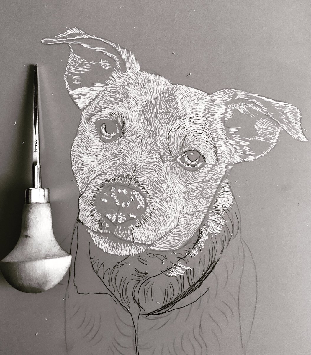 bluewoodmouse's tweet photo. Linocut commission work in progress. #linocut #petportrait #printmaker https://t.co/uSssxw6zcn