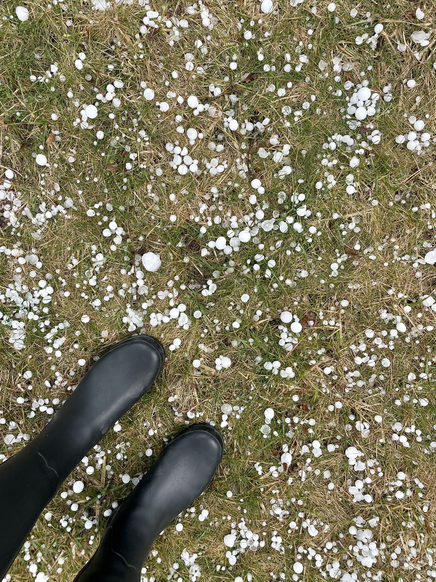 We got everything from pea to quarter size hail in Highland Park. <a href="/WGNTV/">WGNTV</a>