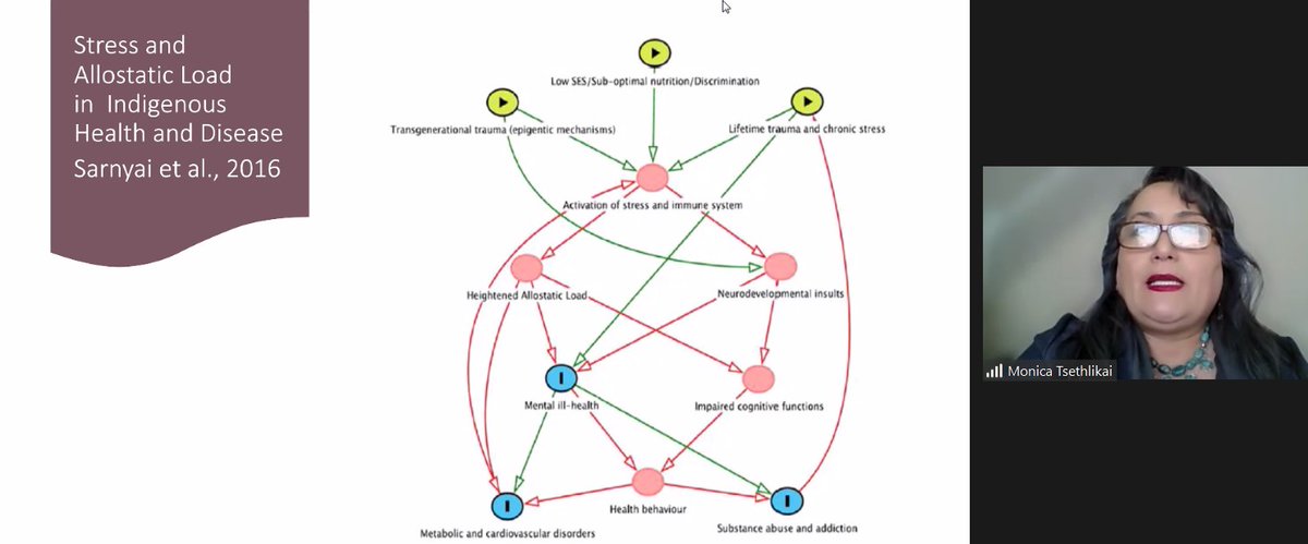 #AZHealthZoneConference2023 Hearing from Dr. Tsethlikai (ASU) about how chronic stress links to health and disease in Indigenous populations.