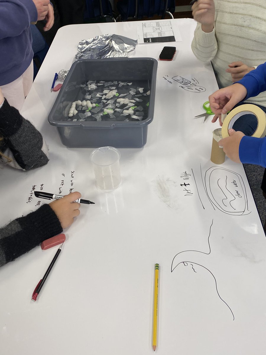 MrsSamMitch's tweet photo. Building prototypes to take care of toxic algae blooms that occur in our communities #STEMeducation https://t.co/84GYd6iXmA