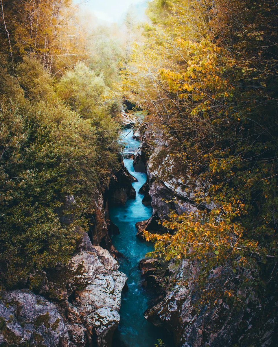 Hidden in a forest, the turquoise Soča River flows fast in a narrow gorge. Gorgeous!

Photo by 📸 @ericdsyv