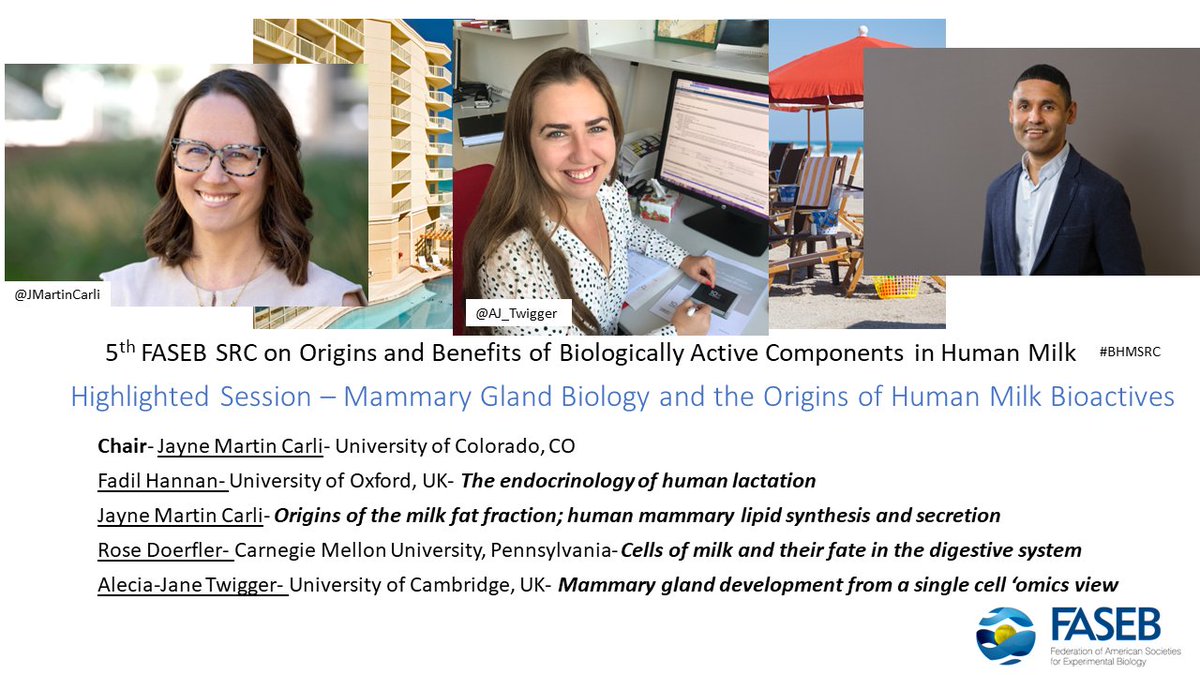 JMartinCarli's tweet photo. Looking forward to some fascinating presentations and discussion at the "Mammary Gland Biology and the Origins of Human Milk Bioactives" session during FASEB #BHMSRC 2023! @Dr_LarsBode @laurenroukia @LiatShenhav @AJ_Twigger 

Come join us! https://t.co/mTY3qiikKN