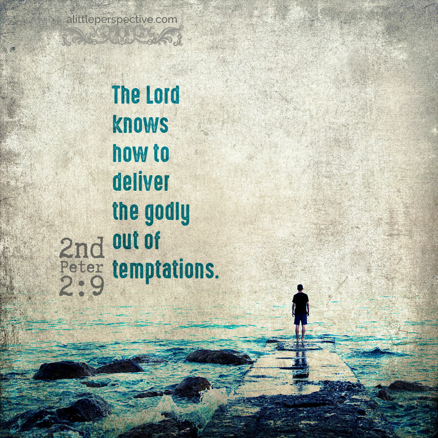 Christine982Mil's tweet image. The Lord knows how to deliver the godly out of temptations. 2 #Peter 2:9 #PetersLetters
2 Peter chapter 2 #ChiasticStructure:
alittleperspective.com/2-peter-2/