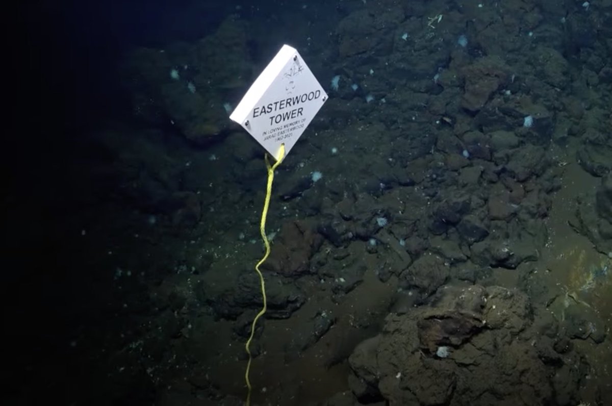 ROV SuBastian Dive #502 is a special dive in memory of Jarad Easterwood, a beloved ROV pilot who passed suddenly last weekend. Sending our best to his family and friends all over the world.  youtube.com/watch?v=N28qAq…