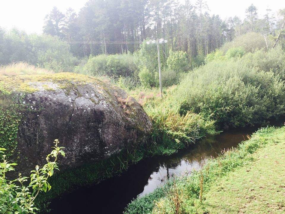 Waterfords Blarney Stone
THE SPEAKING STONE 

In Stradbally is an extraordinary rock that stands west side of the River Deelish, a tributary of the Tay. Known as the ’Speaking Stone or locally Clogh-Lourish. It is believed to have magical powers and an oracle of pagan times 1/4