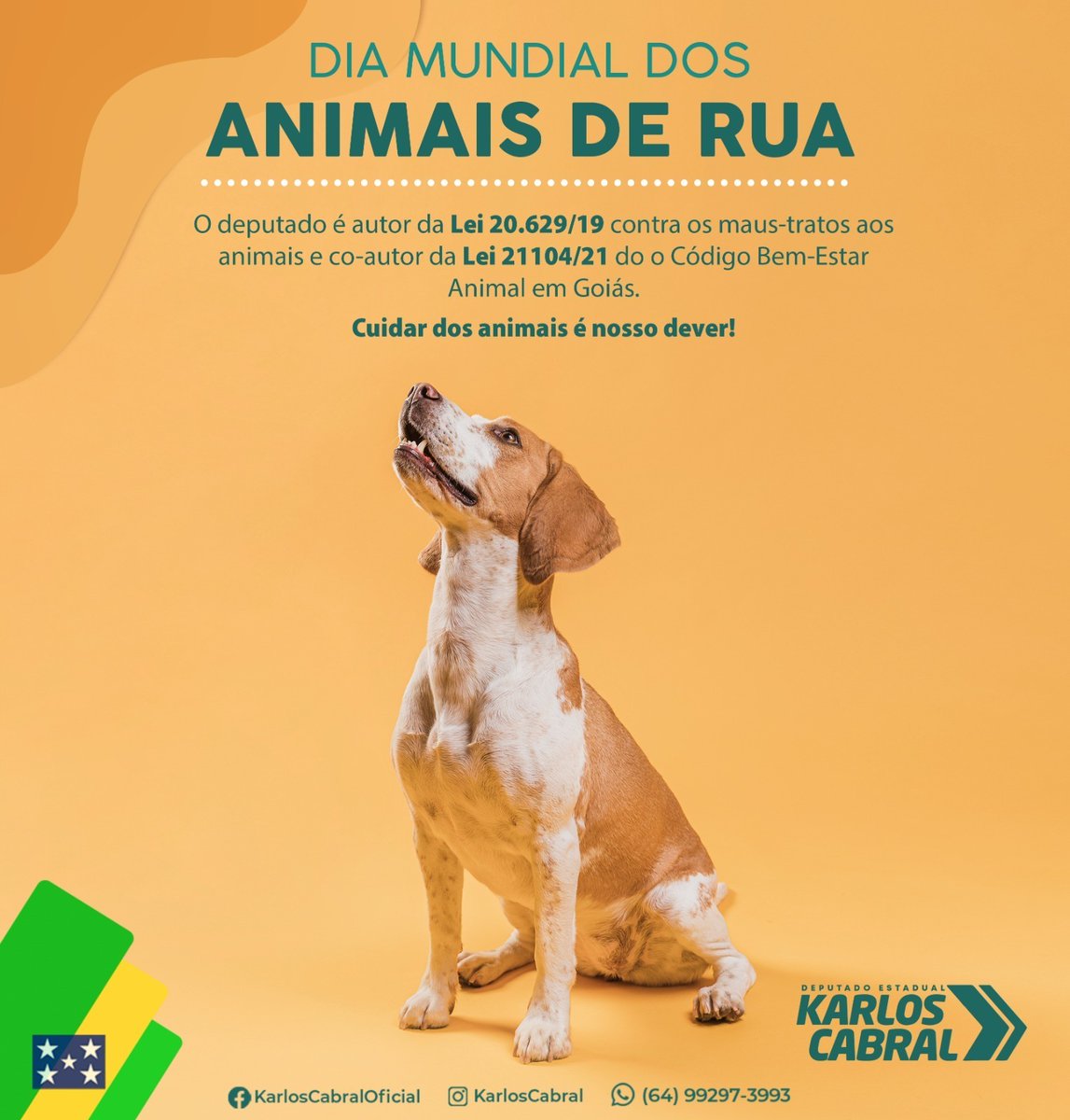 KarlosCabral's tweet photo. Enquanto Deputado Estadual aqui na Assembleia Legislativa, sou autor das leis 20.629/19 que dispõe sobre o combate aos maus-tratos aos animais em Goiás e co-autor da Lei 21104/21 que criou o Código Bem-Estar Animal.

Cuidar dos animais é nosso dever! https://t.co/Y2XqiIkwxS