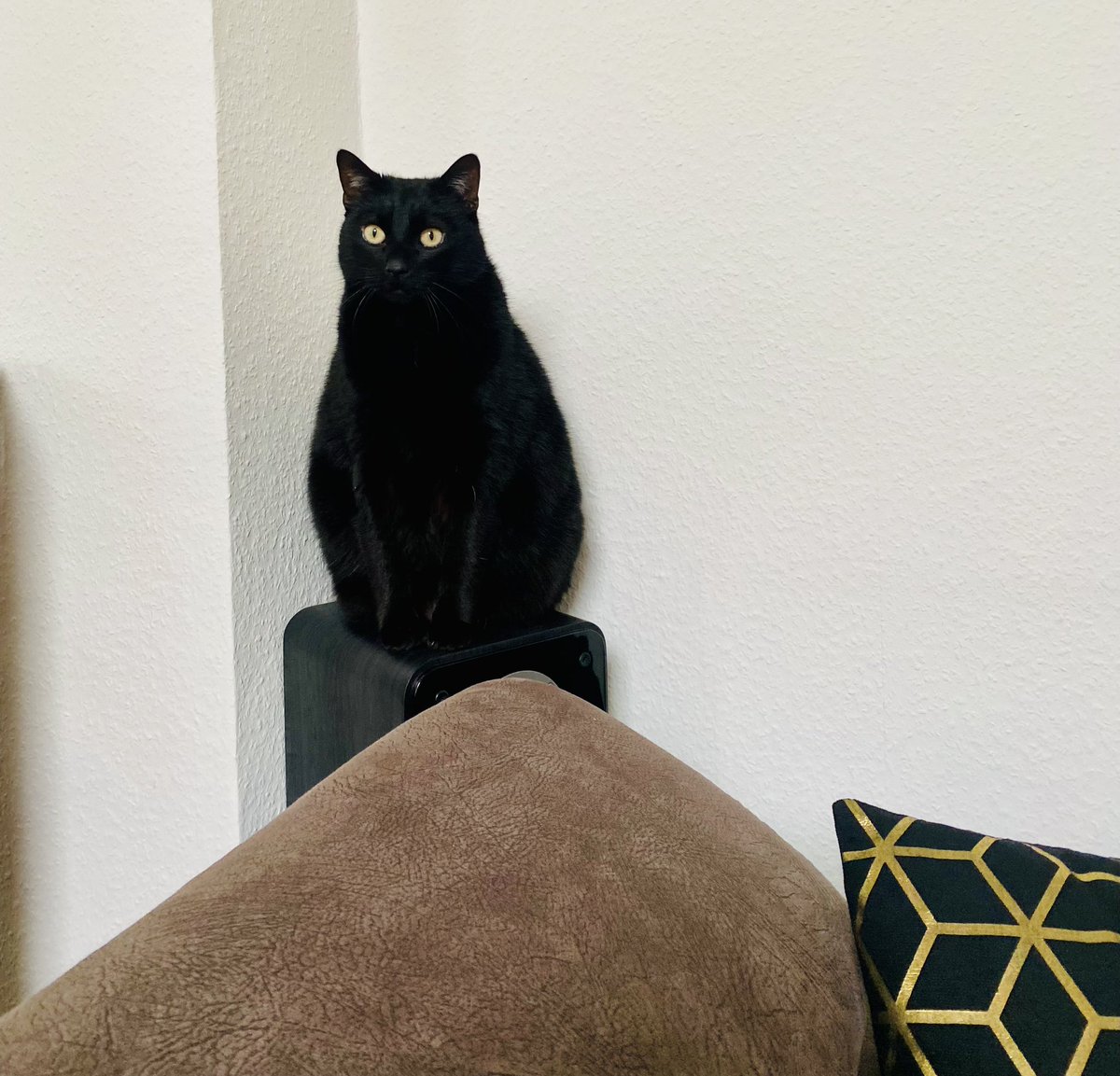 DekoKatze 🐈‍⬛💫🥰