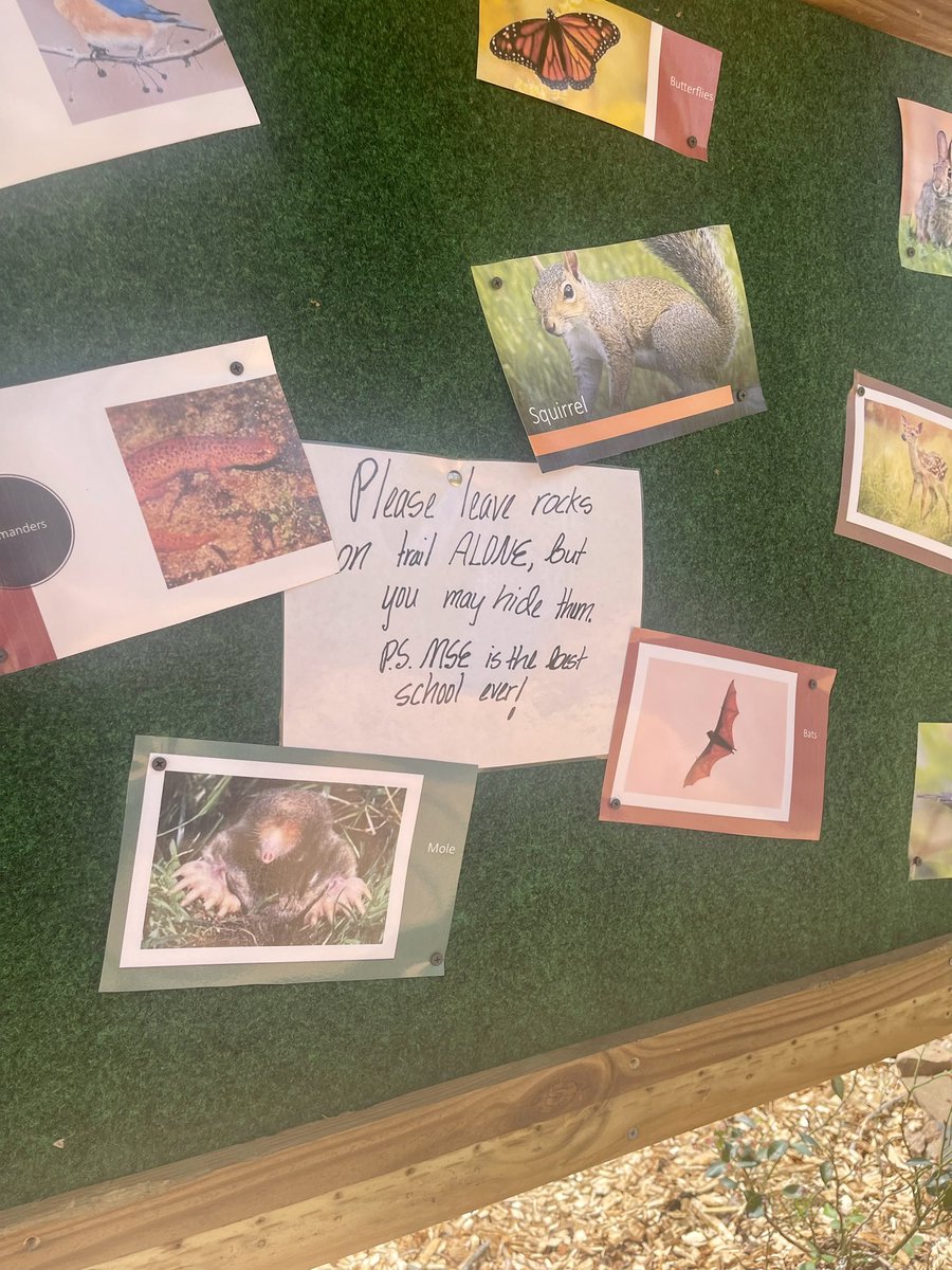 Rebecca Campbell, NBCT tweet media