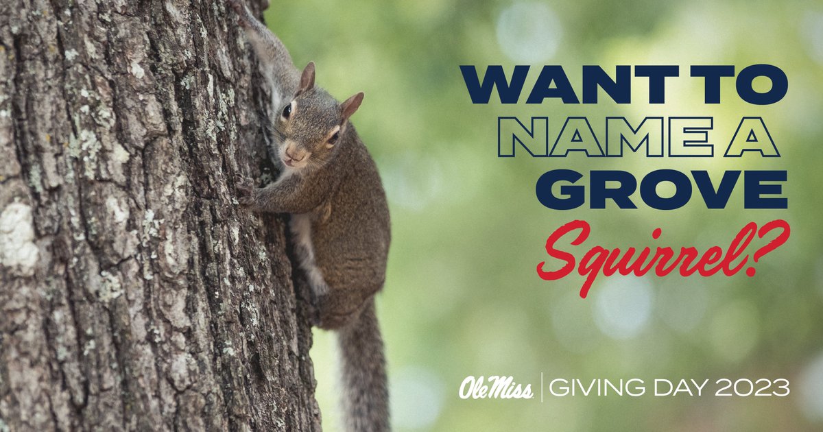 Your chance to name a Grove Squirrel is BACK, for Giving Day only! Click the link below to make a $50 gift to the College of Liberal Arts now until 5PM and name your squirrel! #OleMissGivingDay 
Donate now: shorturl.at/pIJMY
