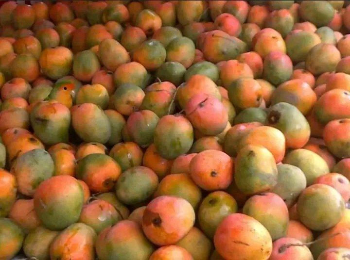 If you can see the bird. Comment with this emoji 😂 and paste Aza under. 🌚