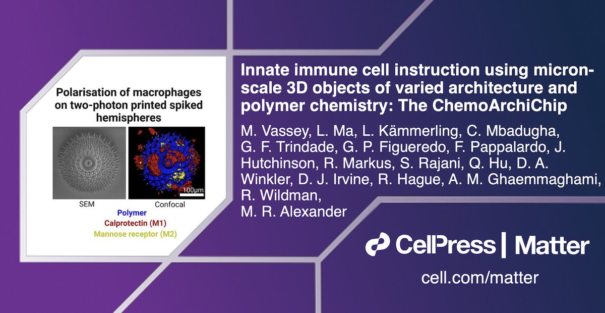 Matter_CP (@matter_cp) on Twitter photo Alexander, Wildman, Ghaemmaghami & colleagues develop the ChemoArchiChip: an array of geometrically complex objects to quickly determine macrophage response for #biomaterials design! @SuperFishiAl <a href="/immune_instruct/">Amir Ghaem-Maghami</a> <a href="/AMHTGroup/">AMHT Group</a> <a href="/UoNresearch/">Nottingham Research</a>
Open Access: bit.ly/41378ys Alexander, Wildman, Ghaemmaghami & colleagues develop the ChemoArchiChip: an array of geometrically complex objects to quickly determine macrophage response for #biomaterials design! @SuperFishiAl <a href="/immune_instruct/">Amir Ghaem-Maghami</a> <a href="/AMHTGroup/">AMHT Group</a> <a href="/UoNresearch/">Nottingham Research</a>
Open Access: bit.ly/41378ys
