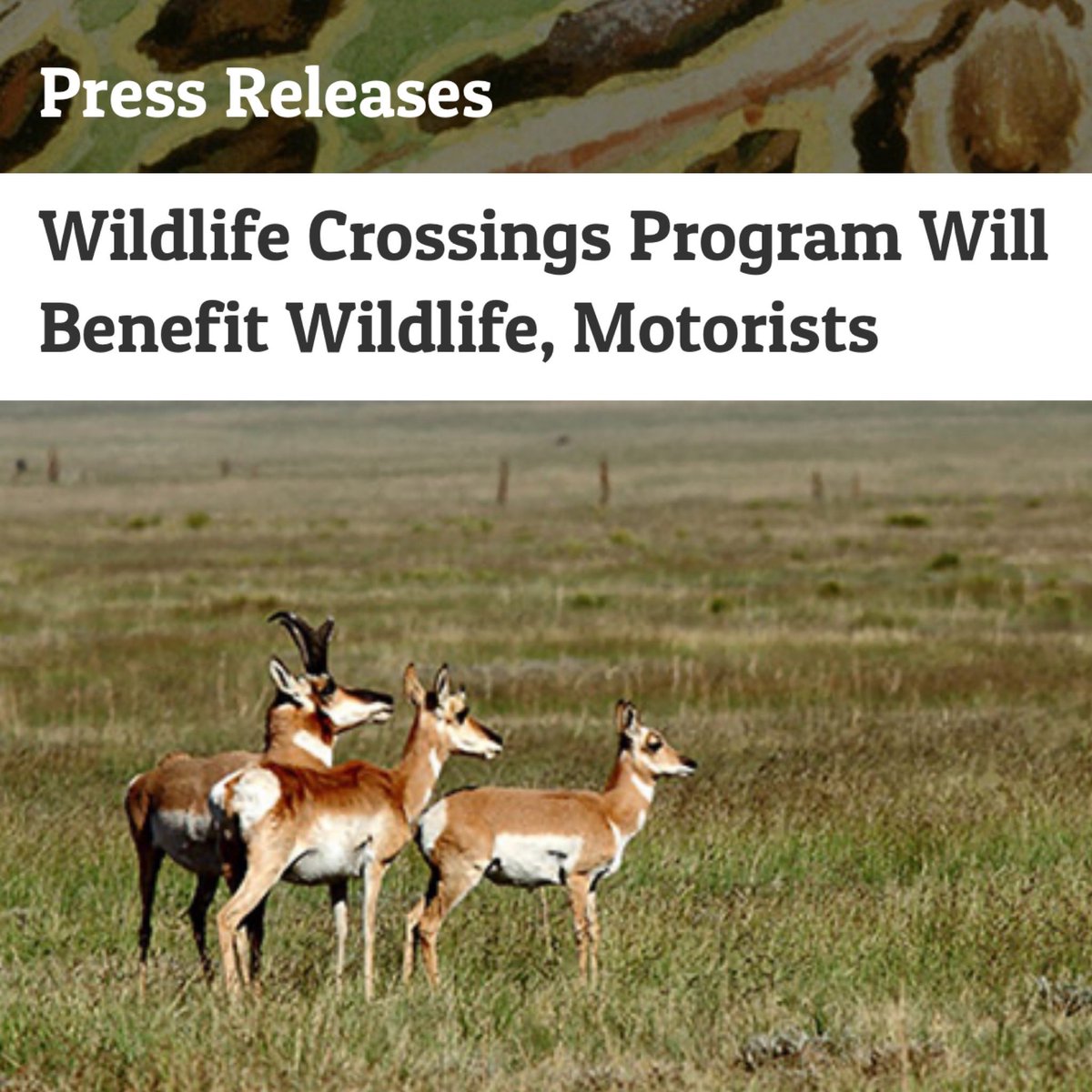 Transportation Secretary @PeteButtigieg made the announcement in #NewMexico, where @NWF’s Jeremy Romero showed him a proposed #WildlifeCrossing project that will be funded by the pilot program. Learn more 👉🏽 nwf.org/Latest-News/Pr… @OurPublicLands @NMWildlife