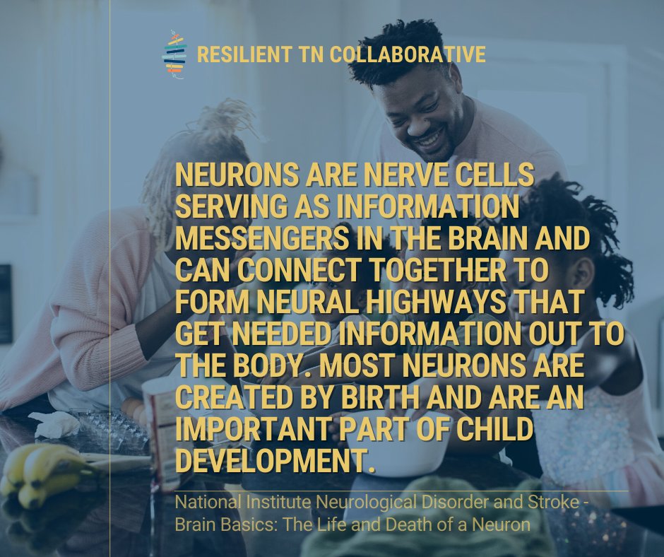 Tennessee Commission on Children and Youth tweet media