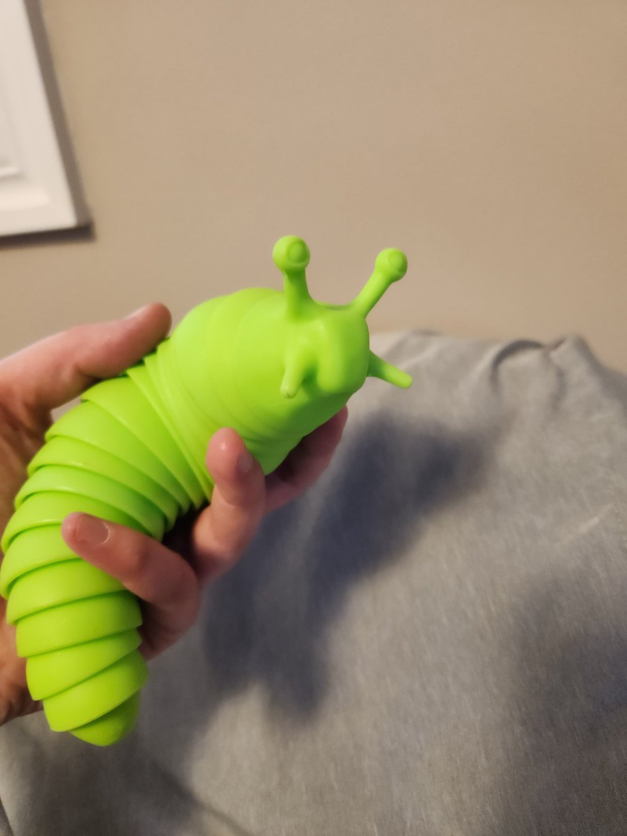 RionaDaidouji's tweet photo. ....I got a fidget #Yeerk
Her name is Aftran and I love her.
#sensoryslug #animorphs #fidgetslug #fidgetYeerk https://t.co/4YhQivvF9H