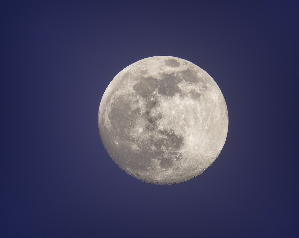 GrahamBowes's tweet photo. Evening views #luna 98.1% Waxing #moon #astrophotography #sonya7riii 800mm telephoto https://t.co/gM4N3qScDu