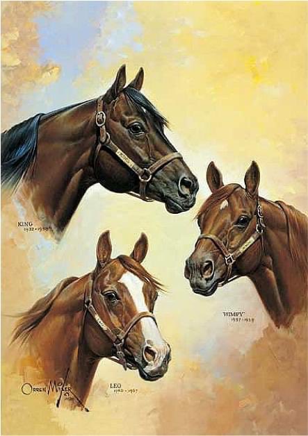 The American Quarter Horse is the most popular breed in the entire world. This breed has a deep and interesting history.🐴 

Learn more about them here! --> aqha.com/history-of-the…