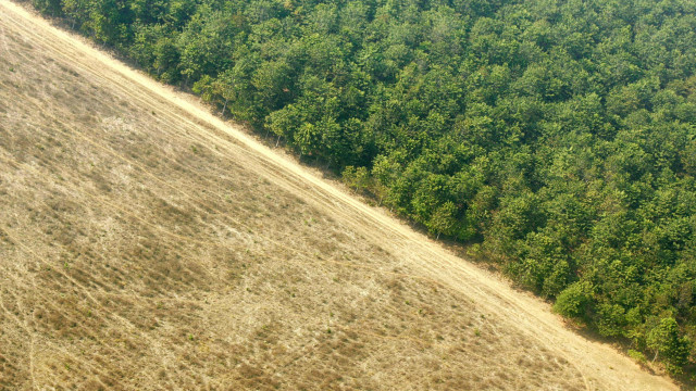 Google Earth passa a mostrar desmatamento na Amazônia até 2022
Leia mais: …canauagora.redeagoradenoticias.com.br/noticias/tecno…
• Aqui, o valor da notícia está na