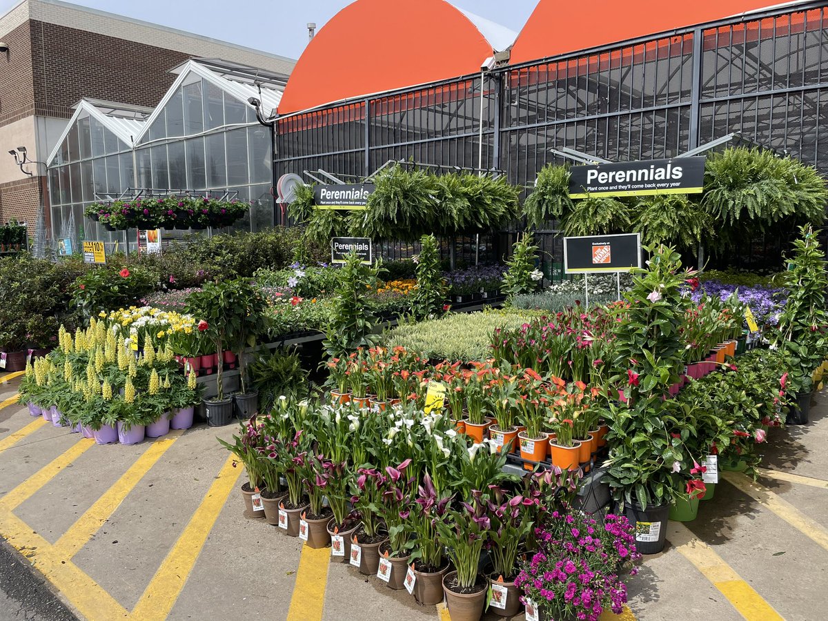 N_CharlottePPS's tweet photo. University City Home Depot Charlotte
#metrolinagreenhouses https://t.co/e6ky3vdftk