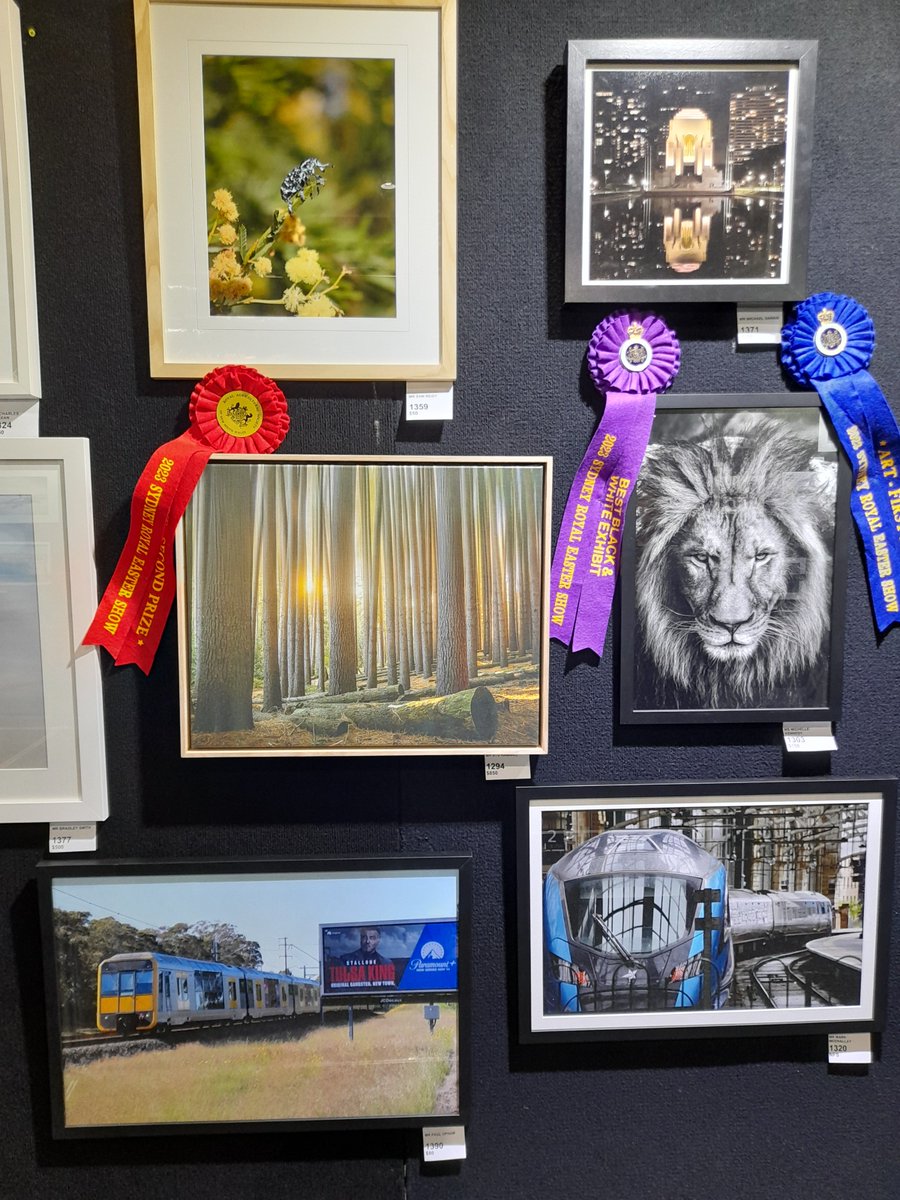 Great to be back at the Sydney Royal Arts & Crafts Preview evening @eastershow #Sydney. My #StalloneTrain #photo on the finalists board in the Open category. #myshow #eastershow