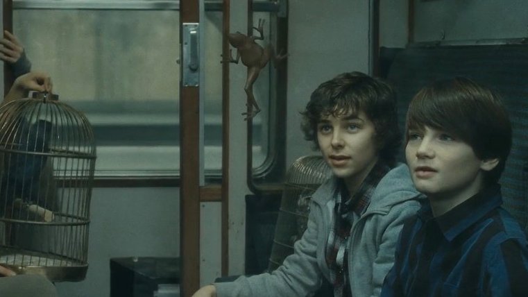 Los fans de Harry Potter no queremos un reboot de la saga. Queremos algo nuevo como una serie sobre el ascenso de Voldemort, la creación de Hogwarts, la historia de los merodeadores o de la tercera generación. No hay necesidad de reiniciar la saga.