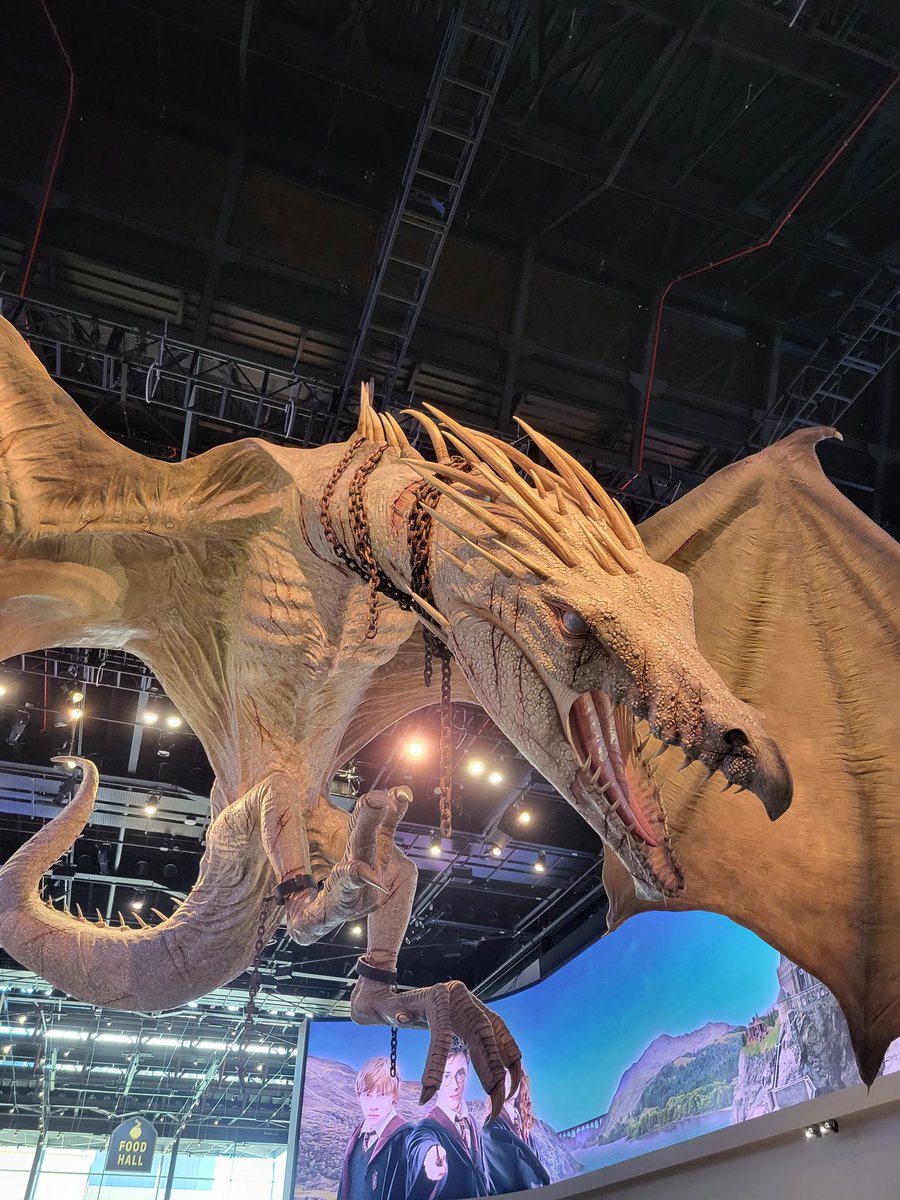 AmberLCousins's tweet photo. Day 2, and we took a trip to the #HarryPotterStudioTour 🧙🏻‍♂️✨️! As a massive fan of the movies, I was extremely excited to experience the magic behind the scenes, and it was above and beyond what I expected.

#ITTM #HarryPotter #FilmTourism #Magic #WarnerBros https://t.co/OAmkpJCjNj