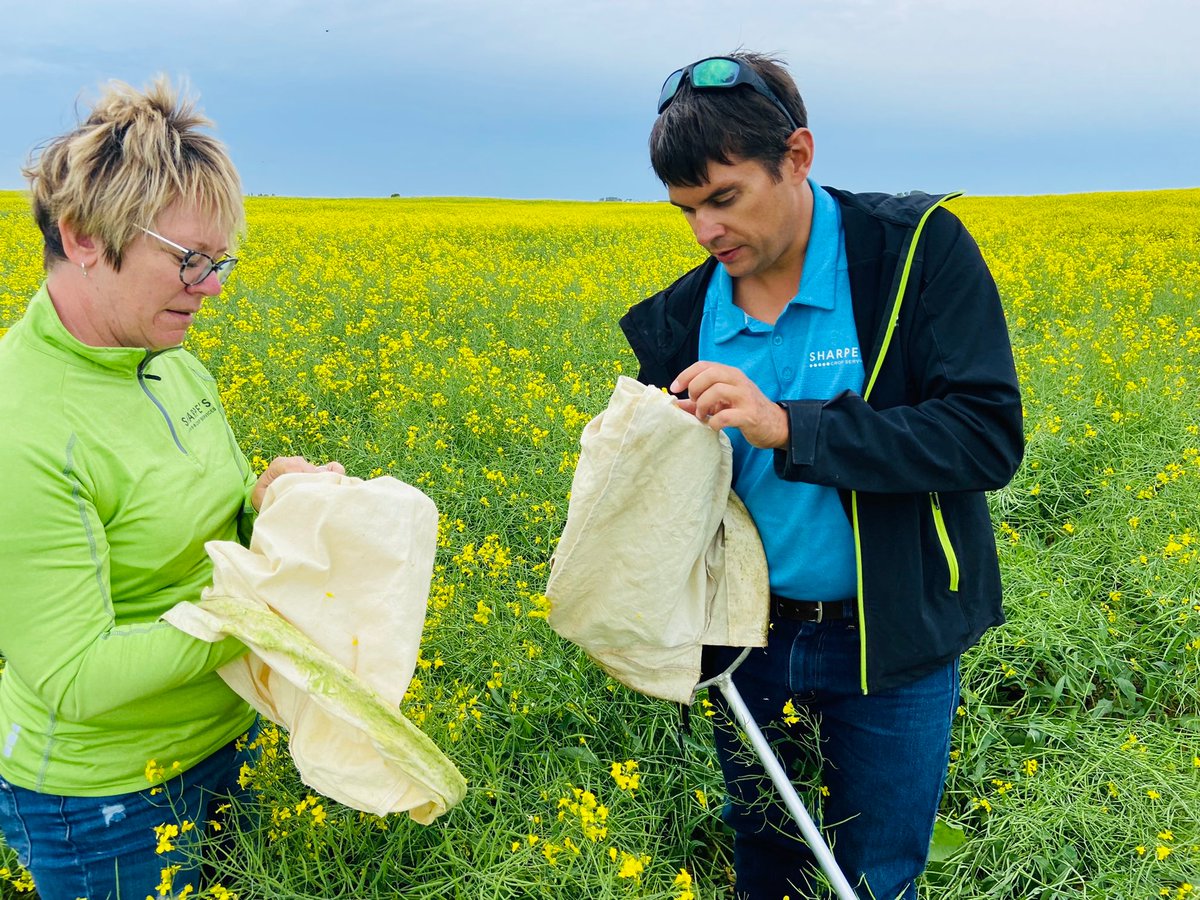 If your passion is helping growers reach their potential for future generations then we want to speak to you.
- Branch Managers 
- Sales Agronomist 
- Product Line Specialists 
- Branch Accounting
- HR Coordinator
- Safety Coordinator 
- Agronomist 
- Mechanic 
- Operations