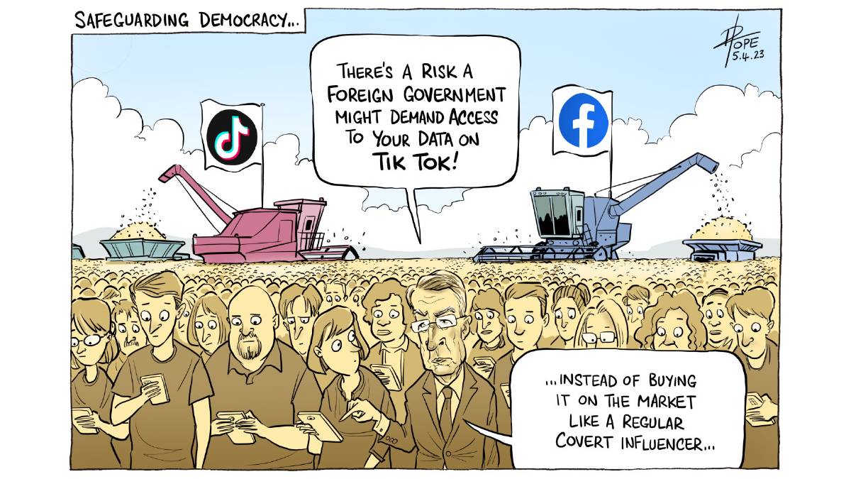 Mari R tweet media