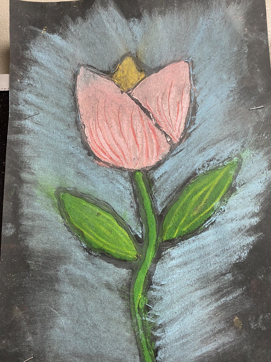 MrsCaitlinMunro's tweet photo. Spring is starting to showoutside room 14 @darwinLRSD and it’s looking beautiful! https://t.co/Q3E9n61cGy