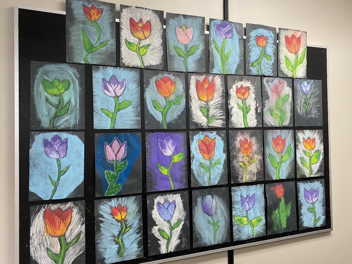 MrsCaitlinMunro's tweet photo. Spring is starting to showoutside room 14 @darwinLRSD and it’s looking beautiful! https://t.co/Q3E9n61cGy