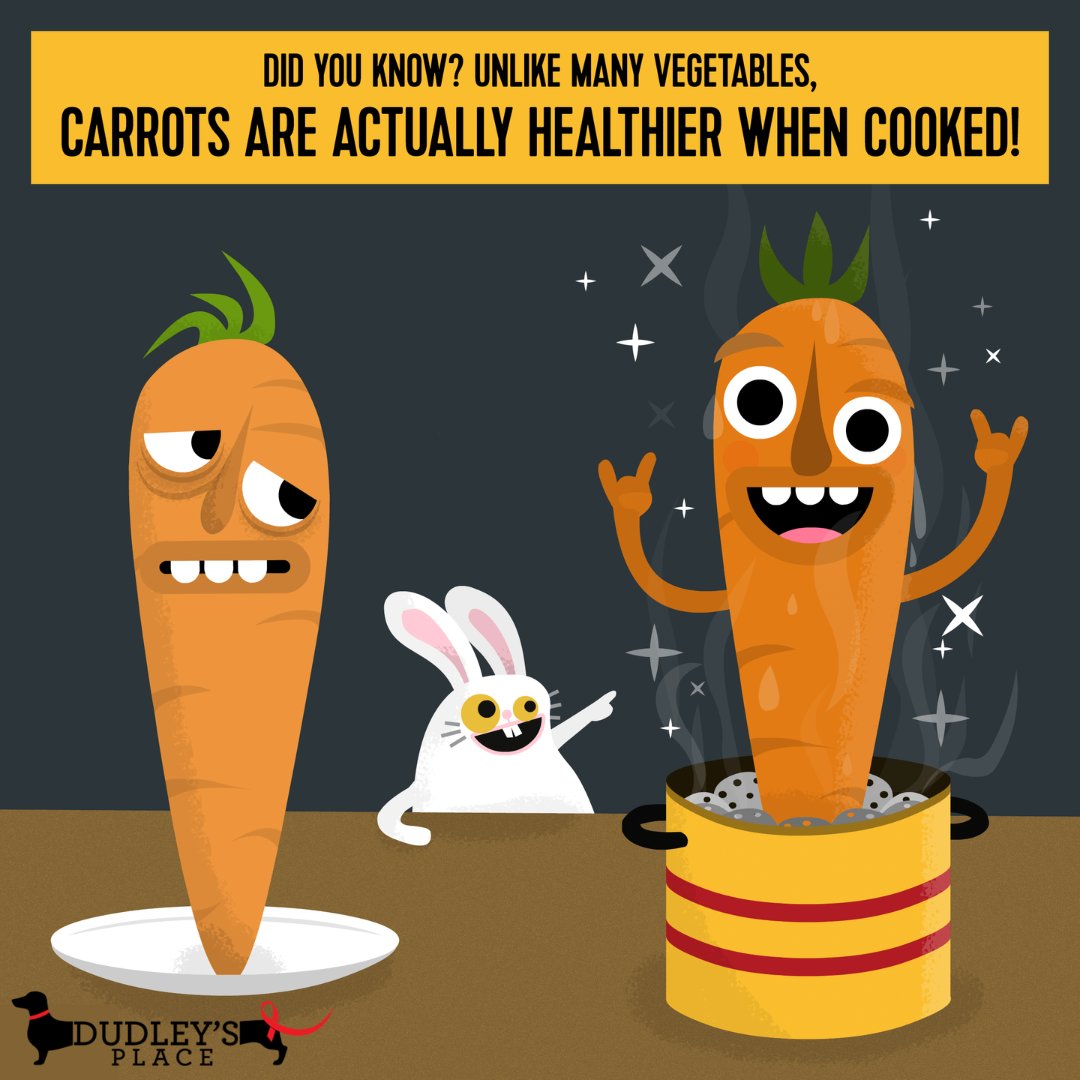Yes, it's true! Even our on-staff nutritionist, Kim, can confirm that carrots are, in fact, healthier for you to eat when they are cooked versus when they are raw! Did you also know that carrots were first grown for medicinal purposes? The more you know! #TeachingTuesdays