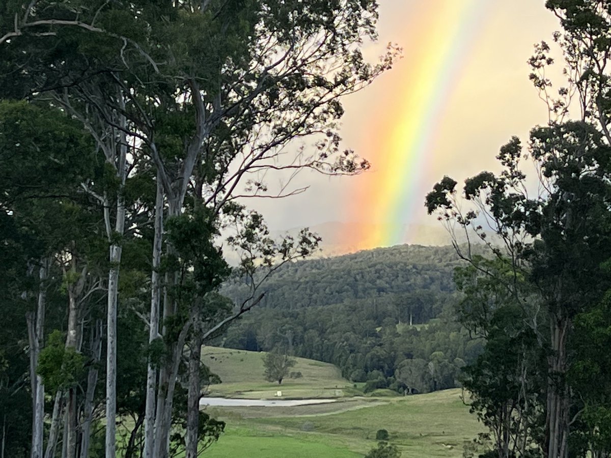 russellcrowe's tweet image. Looking out my back door…