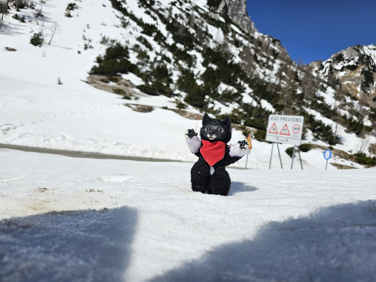 balto_star's tweet photo. Little Balto on tour

#Plushi #Balto #Kraficat #poseable #doll https://t.co/2vme3goorm