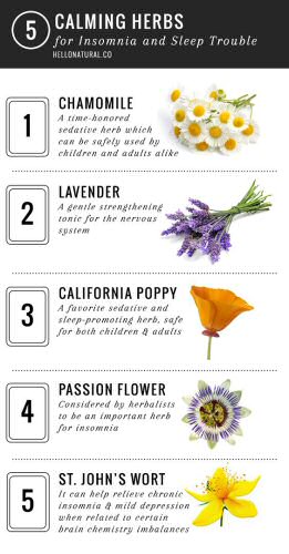 #MedicinalHerbs #GrowYourOwn 
#Gardening