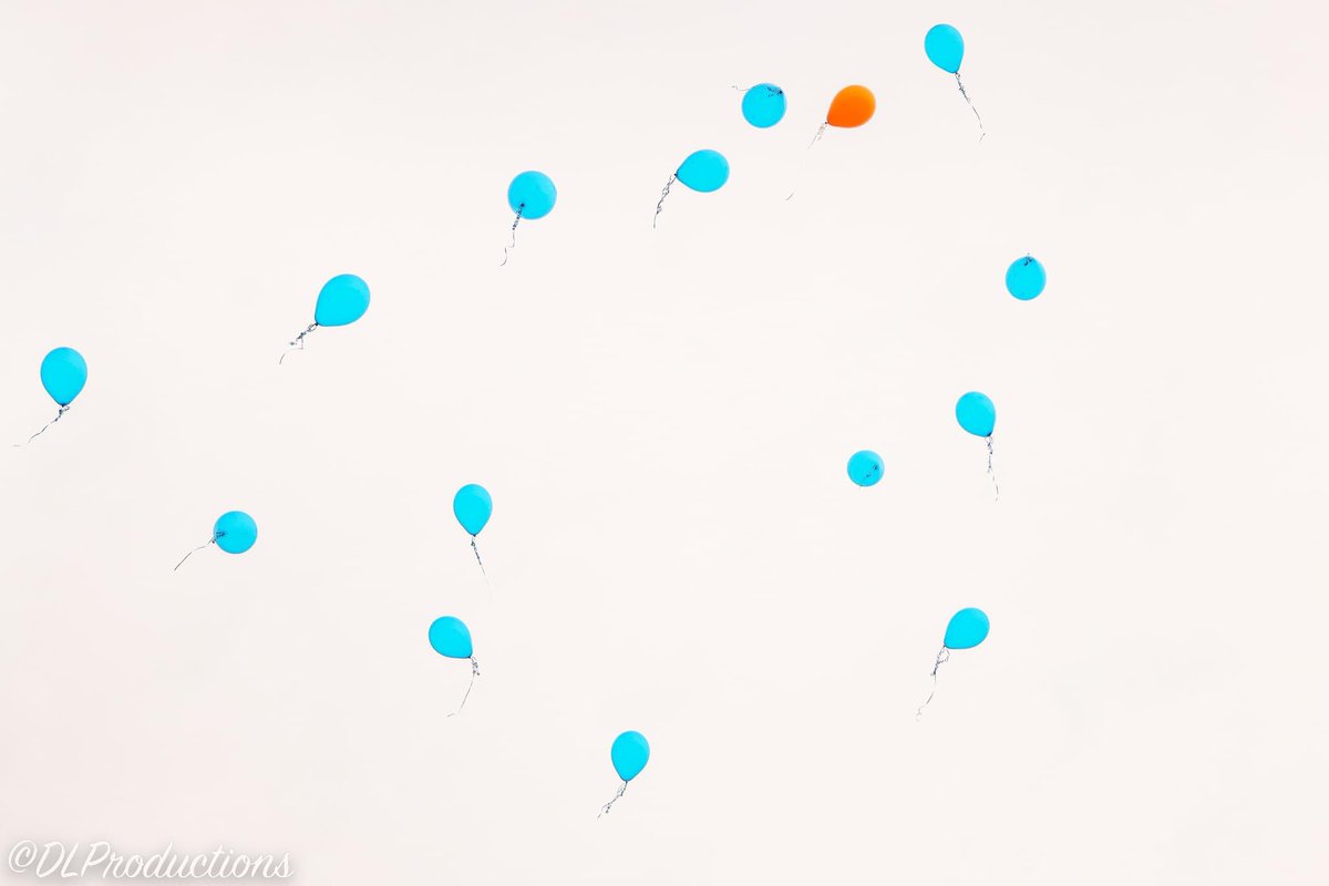 TeamNeyland tweet media