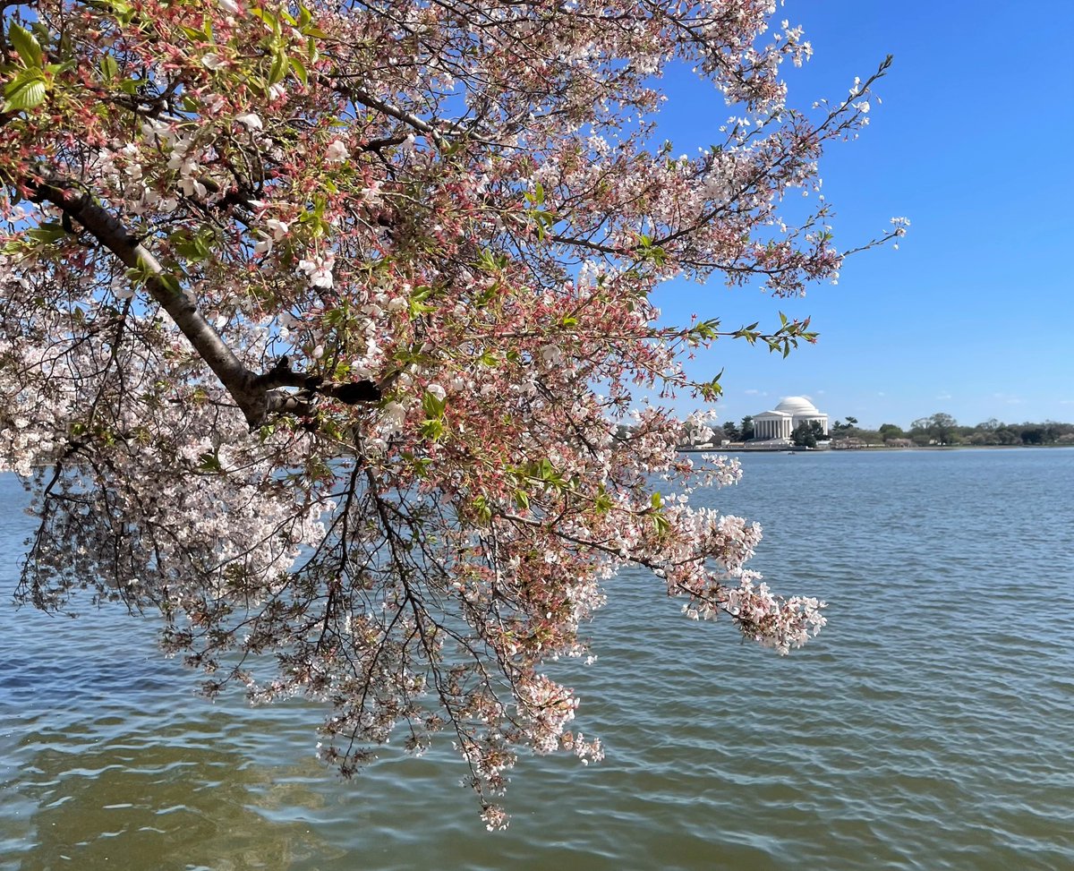 NationalMallNPS tweet picture