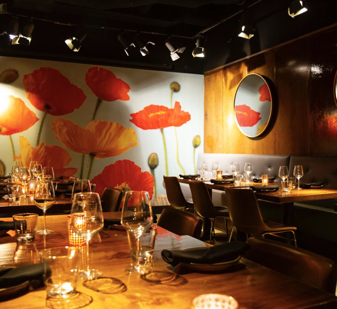 brightside_CLE's tweet photo. Can you envision hosting your special party with us? From birthdays to bridal showers and after-wedding parties and more! Come party and dance the night away! Brighten up your special event experience at Bird of Paradise or Bright side ✨✨ https://t.co/mGmOi6B3VL