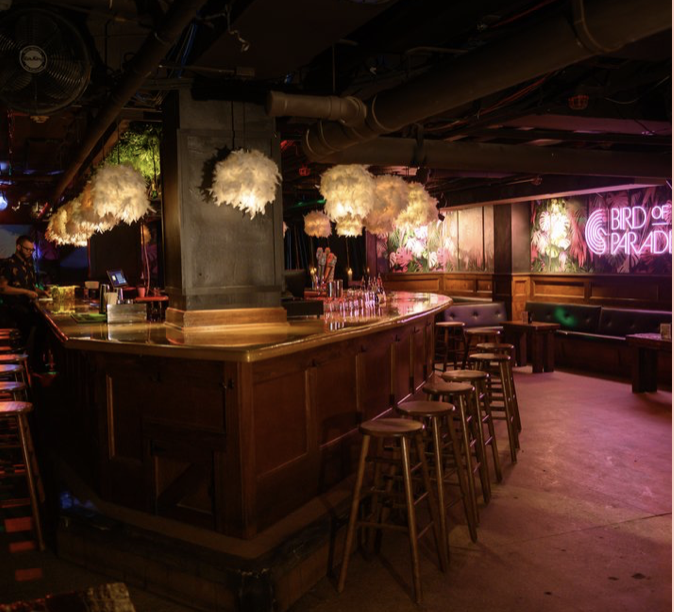 brightside_CLE's tweet photo. Can you envision hosting your special party with us? From birthdays to bridal showers and after-wedding parties and more! Come party and dance the night away! Brighten up your special event experience at Bird of Paradise or Bright side ✨✨ https://t.co/mGmOi6B3VL